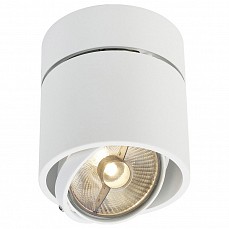 Накладной светильник SLV Kardamod 117161