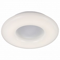 Накладной светильник ST-Luce Albo SL902.502.01D