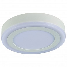Накладной светильник Arte Lamp Antares A7816PL-2WH