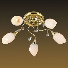 Потолочная люстра Odeon Light Fiera 1604/5
