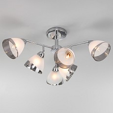 Люстра на штанге Eurosvet Paola 30126/6 хром