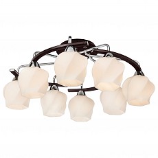 Потолочная люстра SilverLight Aranda 228.59.8