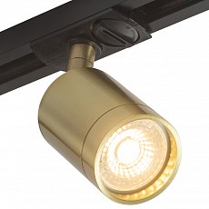 Светильник на штанге Denkirs DK620 DK6201-BS