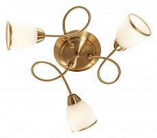 Потолочная люстра Odeon Light Foko 2561/3C