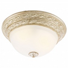 Накладной светильник Arte Lamp Piatti A8013PL-2WA