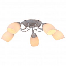 Потолочная люстра Arte Lamp Carlo A8105PL-5WG