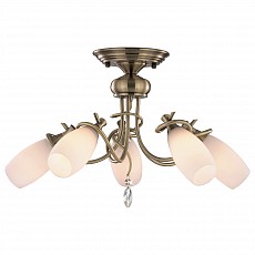 Потолочная люстра Odeon Light Kula 1426/5