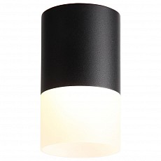 Накладной светильник ST-Luce Ottu ST100.442.10