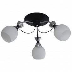 Потолочная люстра Imex  MD.50873-3-S BK