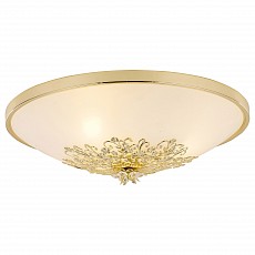 Накладной светильник Arte Lamp Collinetta A9116PL-3GO