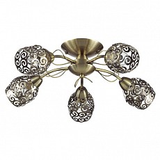 Потолочная люстра Lumion Berenis 3264/5C