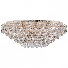 Накладной светильник L'Arte Luce  L06055