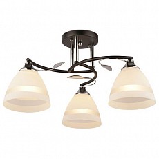 Потолочная люстра Imex 2867 MD.2867-3-S BK+CH