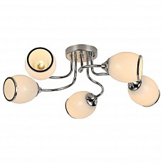 Потолочная люстра Escada Basic 1 1102/5P