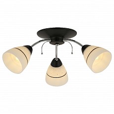 Потолочная люстра TopLight Winnifred TL1255D-03BC
