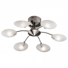 Потолочная люстра Odeon Light Kera 1376/6