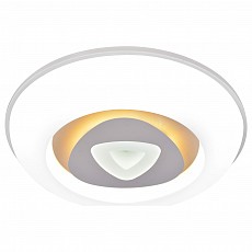 Накладной светильник Escada Mold 10212/1LED