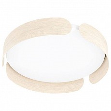 Накладной светильник Eglo ПРОМО Valcasotto 99622