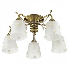 Потолочная люстра Lumion Sipriano 3389/5C