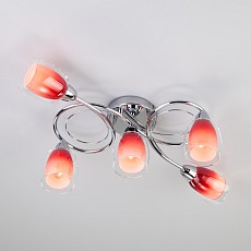 Потолочная люстра Eurosvet Potpourri a046138