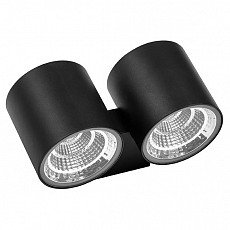 Накладной светильник Lightstar Paro LED 362674