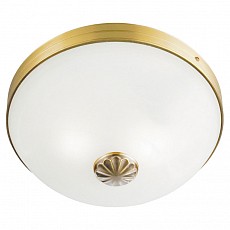 Накладной светильник Arte Lamp Windsor A3777PL-2AB