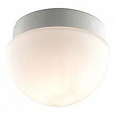 Накладной светильник Odeon Light Minkar 2443/1B