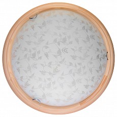 Накладной светильник TopLight Beatrice TL9280Y-00PN