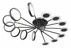 Потолочная люстра Loft it Megan 10164L Black