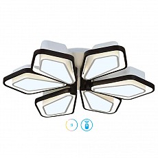 Накладной светильник Ambrella FG FG2506