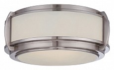 Накладной светильник Quoizel Wilkinson QZ-WILKINSON-F