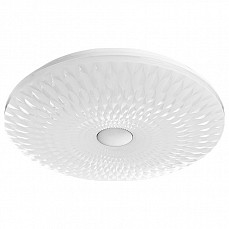 Накладной светильник Arte Lamp 2460 A2460PL-1WH