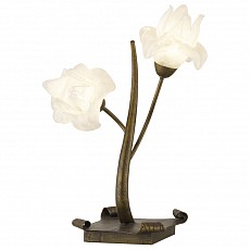 Настольная лампа декоративная Odeon Light Iris 1372/2T