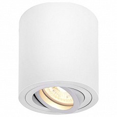 Накладной светильник SLV Triledo 1002011