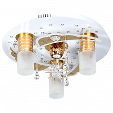 Потолочная люстра Omnilux OM-176 OML-17617-04