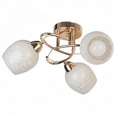 Потолочная люстра TopLight Janelle TL7440X-03FG