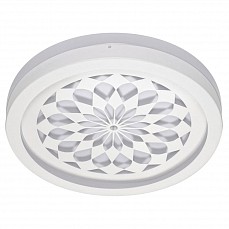 Накладной светильник ADILUX 7001 7001-M