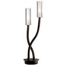 Настольная лампа декоративная Odeon Light Moden 2010/2T