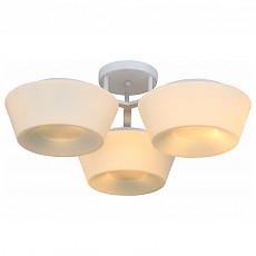 Потолочная люстра ST-Luce Adatto SL296.502.03