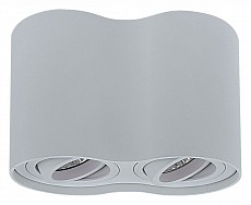Накладной светильник Lightstar Binoco Duo 052029
