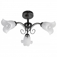 Люстра на штанге TopLight Magdalene TL3490X-03BC