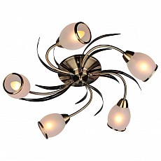 Потолочная люстра Omnilux Auxois OML-35827-05