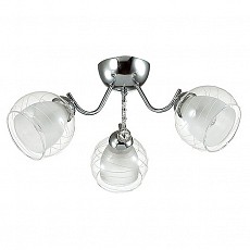 Люстра на штанге Lumion Brinna 3071/3C