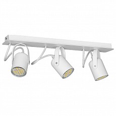 Спот Luminex Mark 7013