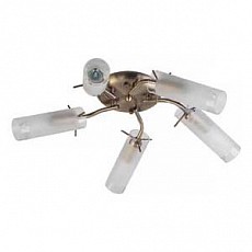 Потолочная люстра TopLight Brittany TL7130X-05AB