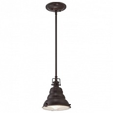 Светильник на штанге Quoizel East Vale QZ/EASTVALE/P/S