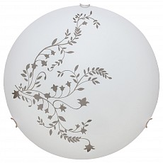 Накладной светильник Arte Lamp Symphony A3820PL-2CC