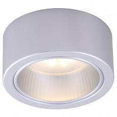 Накладной светильник Arte Lamp Effetto A5553PL-1GY