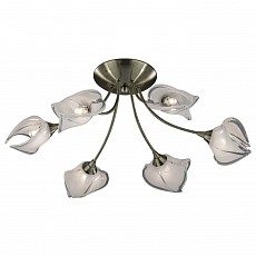 Потолочная люстра Odeon Light Antra 2049/6C