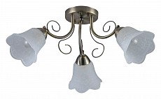 Потолочная люстра Rivoli Rosa Б0052690